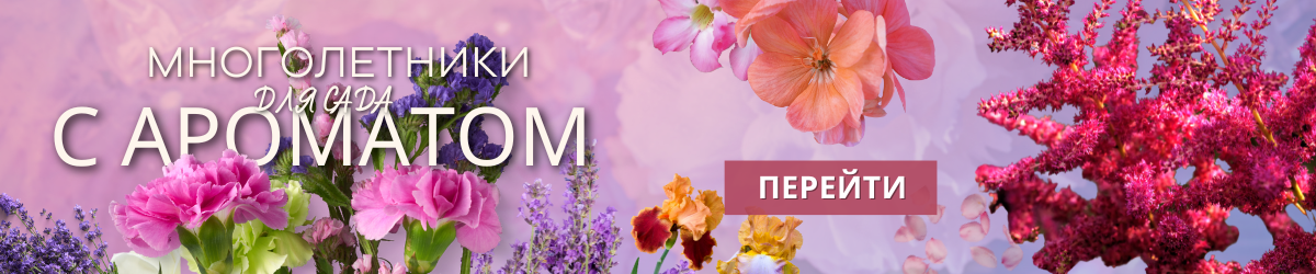 Ароматный Сад