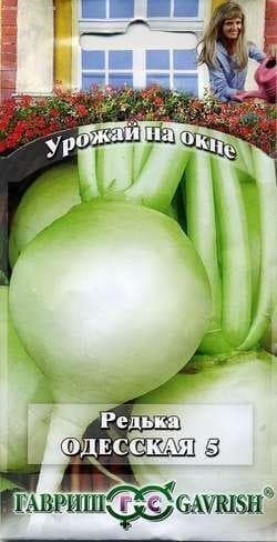 Редька Одесская 5 "Урожай на окне" фото