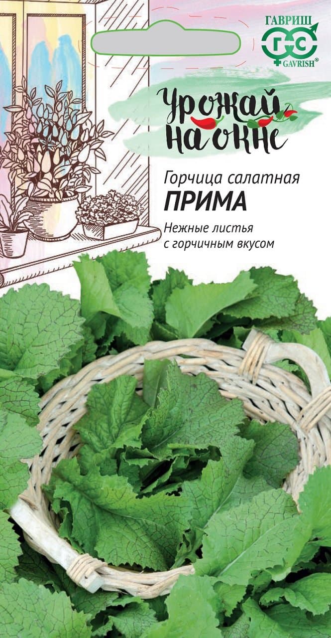 Горчица листовая Прима "Урожай на окне" фото
