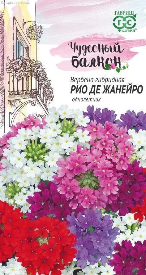 Вербена Рио де Жанейро* "Чудесный балкон" фото