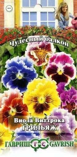 Виола Грильяж, Виттрока (Анютины глазки)* "Чудесный балкон" фото
