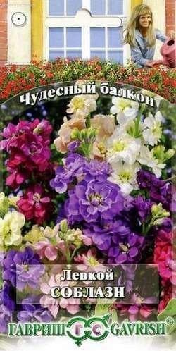 Левкой Соблазн* "Чудесный балкон" фото