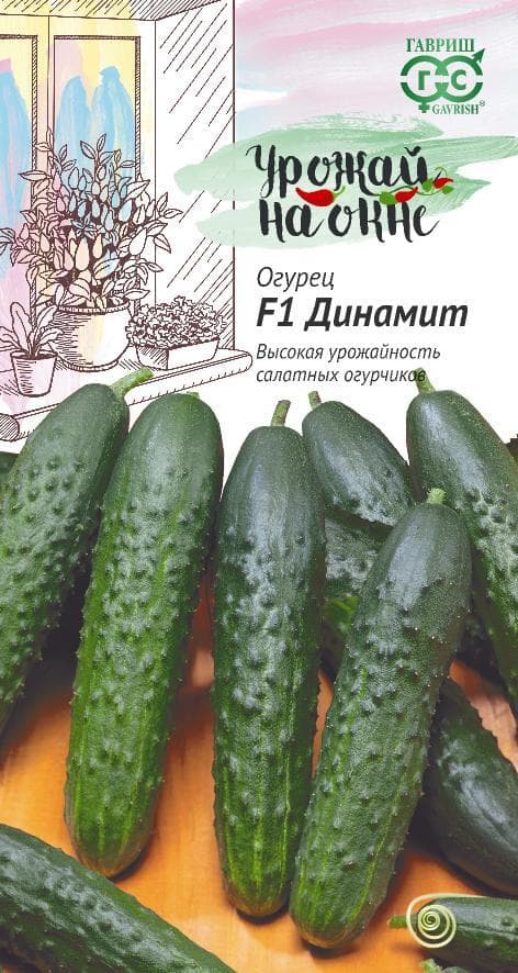 Огурец Динамит F1 "Урожай на окне" фото