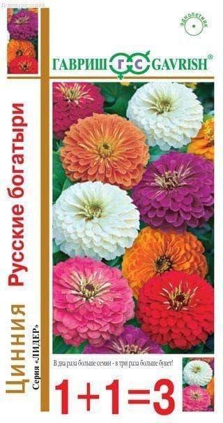 Цинния Русские богатыри, смесь 0,5 г сер.1+1 Н14 фото