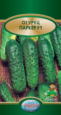 Огурец Паркер F1, 10 шт. Голландия Огурец Паркер F1, 10 шт. Голландия фото