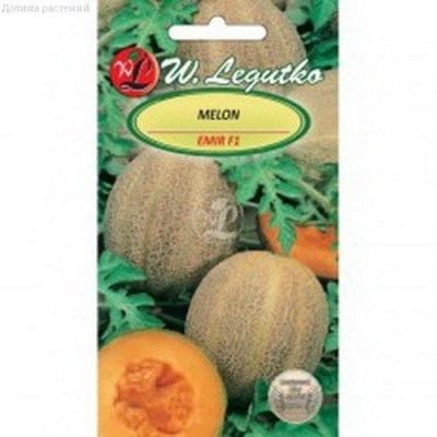 Дыня Эмир (Польша) Дыня Эмир (Польша) фото