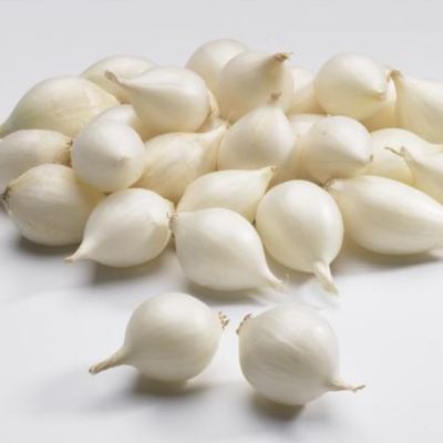 Лук-севок Сноуболл фото