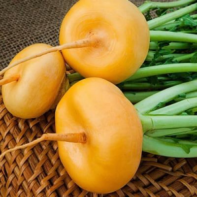 Репа Петровская Репа Петровская фото