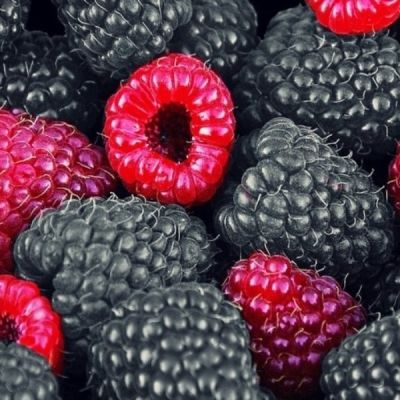 Малина Блэк Джевел/Летняя Малина Блэк Джевел/Летняя - Dolina-Sad.Ru