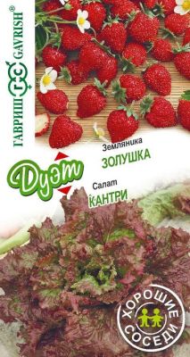 Салат Кантри + Земляника Золушка Салат Кантри + Земляника Золушка фото