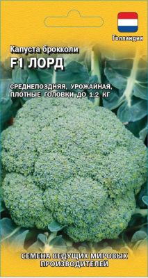 Капуста брокколи Лорд F1 (Голландия) Н19 Капуста брокколи Лорд F1 (Голландия) Н19 фото