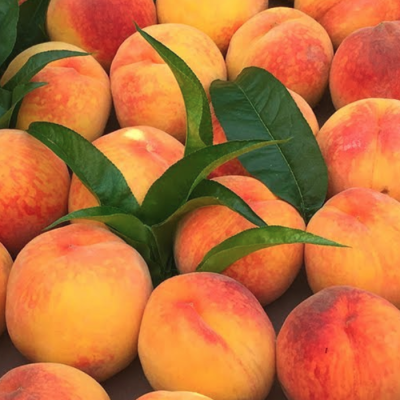 Персик Эрли Ред Хевен Персик Эрли Ред Хевен - Dolina-Sad.Ru