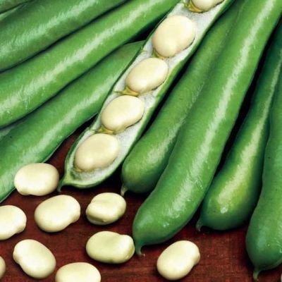 Бобы Белорусские Н11 фото