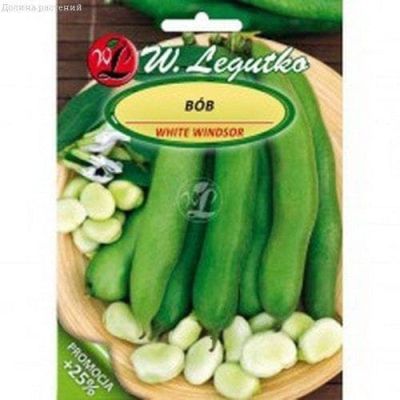 Боб садовый Виндзор белый (Польша) Боб садовый Виндзор белый (Польша) фото