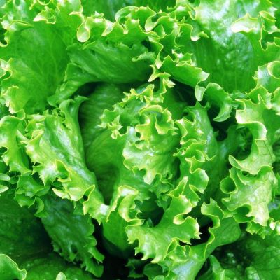 Салат Русский гигант Салат Русский гигант фото