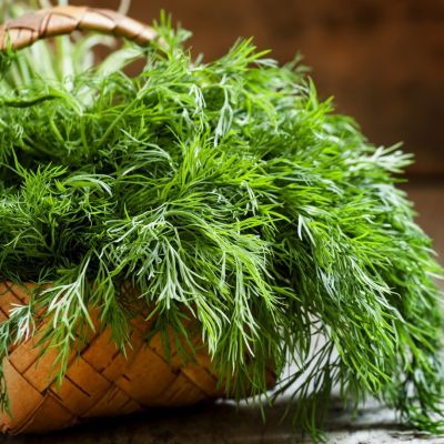 Укроп Иней 2,0 г ХИТ х3 фото