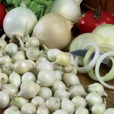 Лук-севок Сноуболл фото